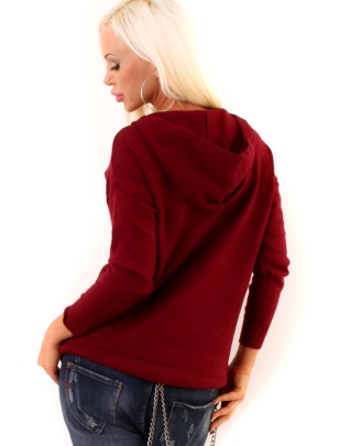 Pullover PPT Style - Hoody - Weinrot