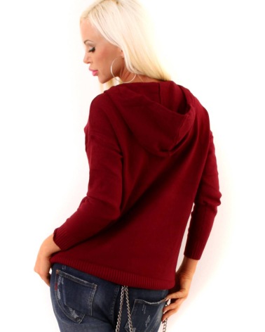 Pullover PPT Style - Hoody - Weinrot